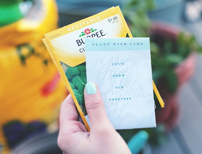 seed packet front